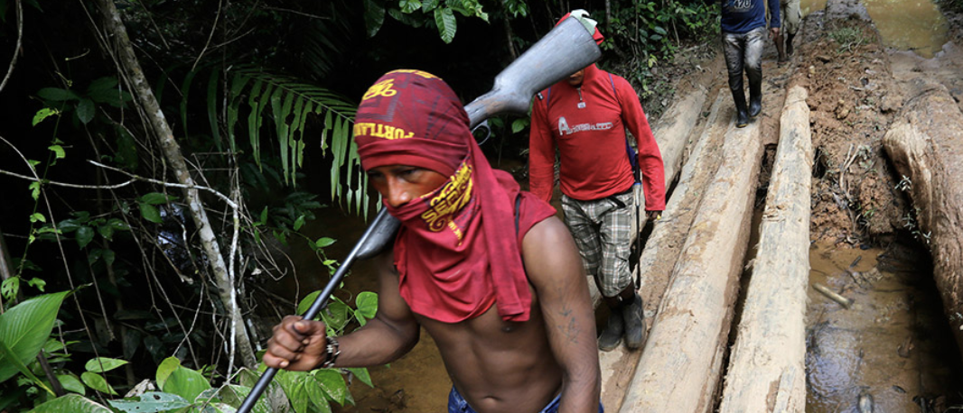 What Does Loggers Day Signify? All About the Wood Holiday